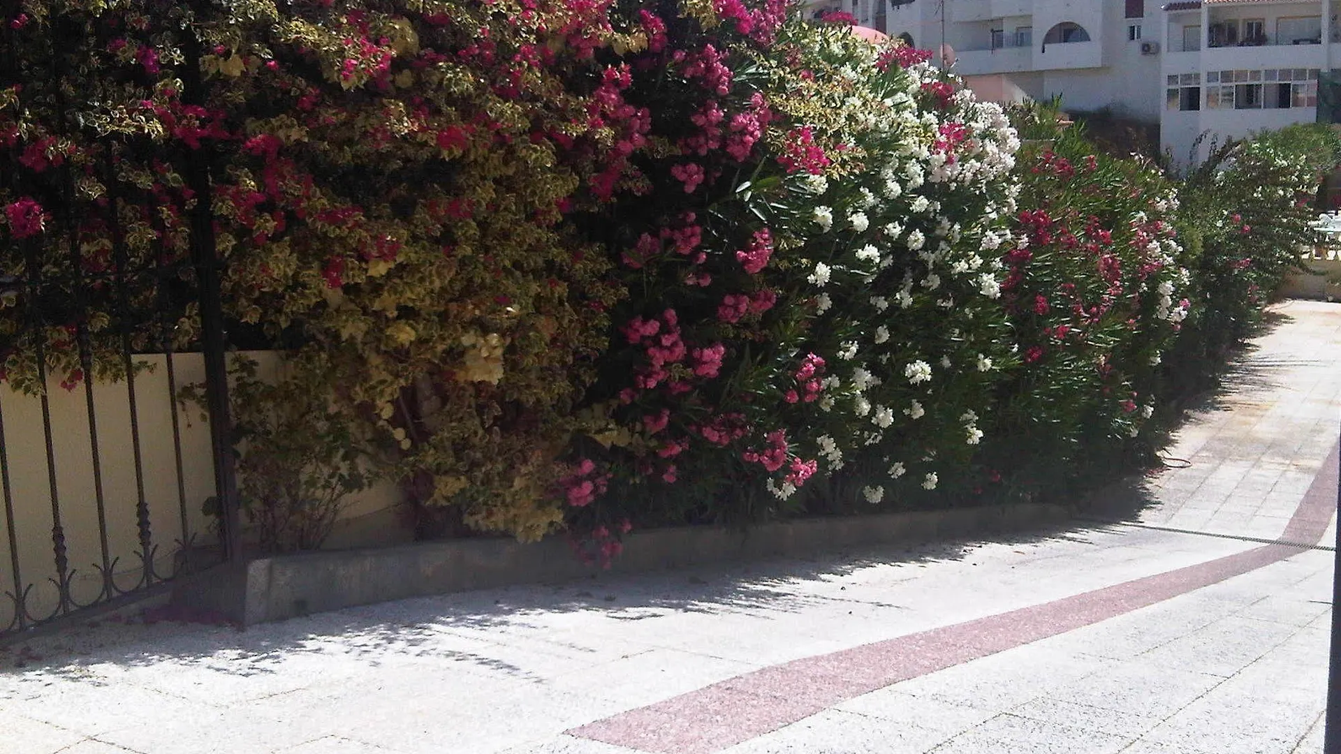 ** Hotel Marina Sol Apartment Albufeira Portugal